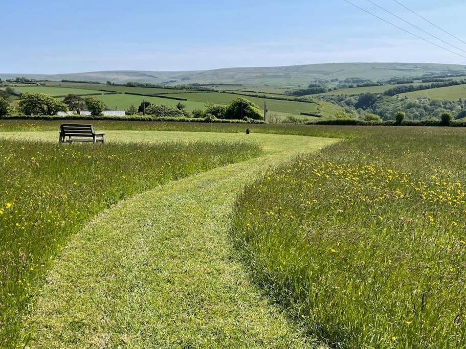 Shearwater, Moor And Sea Holidays, Lovely Tranquil Space Between Exmoor And The North Devon Coast Villa Lynton Exterior photo